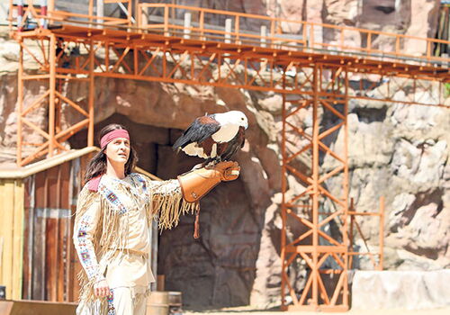 Falkner hält einen Adler auf dem Arm vor Felskulisse.