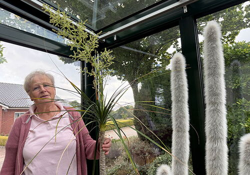 Ältere Frau hält eine Pflanze im Glashaus.