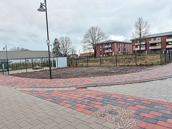 Auch am Kornbusch in Itzstedt, nordöstlich des Regenrückhaltebeckens, können Weihnachtsbäume entsorgt werden.Foto: hfr