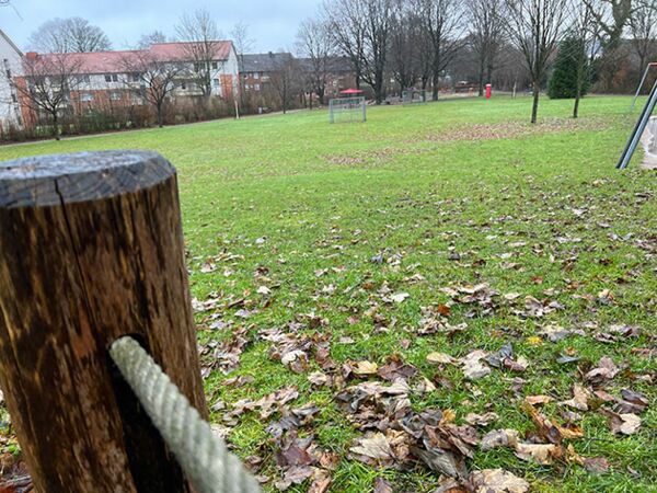 Hier geht mehr, meinen die Mitglieder der Klimainitiative  5nach12.  Sie möchte im Südstadtpark beginnen, die Idee der Essbaren Stadt umzusetzen. Foto: ohe