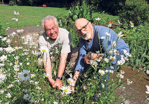 Klaus Hornberger (li.) und Hugo Meißner kümmern sich ehrenamtlich um den Bibelgarten auf dem Wahlstedter Friedhof. Jetzt stand die Reparatur der Bewässerungsanlage an, nachdem zwei Vierecks­regner abgebrochen und entwendet wurden. Foto: mq