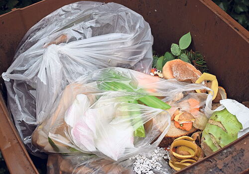 Biotonne mit Lebensmittel- und Gartenabfällen