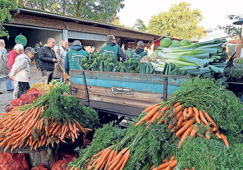 Marktstand mit Karotten, Lauch und Menschen im Gespräch.