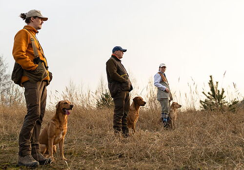 Drei Personen mit Hunden auf einem Feld