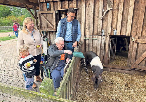Gruppe füttert Schweine auf einem Bauernhof.