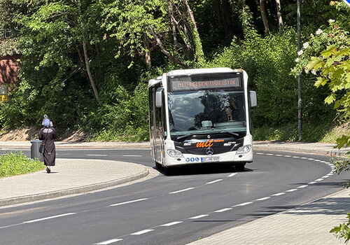 Ein Bus fährt auf einer Straße im Grünen.