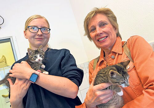 Zwei Personen halten junge Katzen in den Armen.