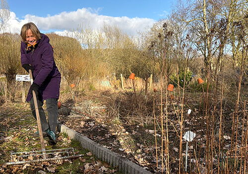 Frau im Garten harkt Laub an einem sonnigen Tag.