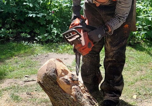 Person schnitzt mit Motorsäge an Baumstamm im Garten.