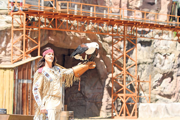 Falkner hält einen Adler auf dem Arm vor Felskulisse.