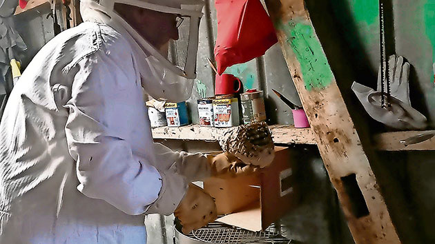 Imker in Schutzkleidung arbeitet im Schuppen.