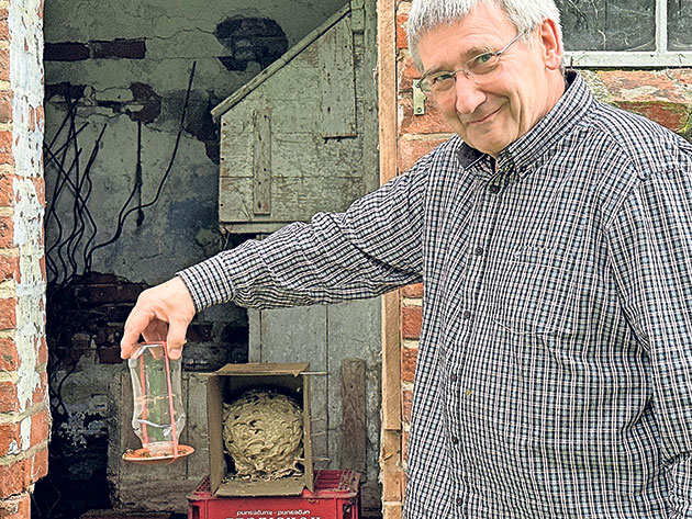 Mann zeigt Wespennest in Scheune mit Glas in der Hand.