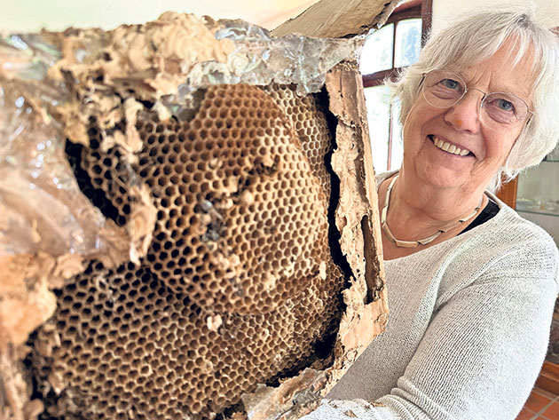 Frau hält großen Bienenstock voller Waben.