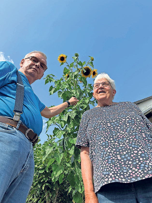 Zwei Personen vor einer hohen Sonnenblume unter blauem Himmel.