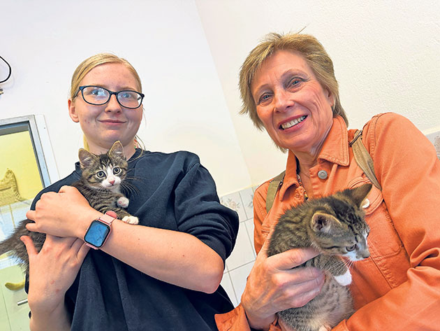 Zwei Personen halten junge Katzen in den Armen.