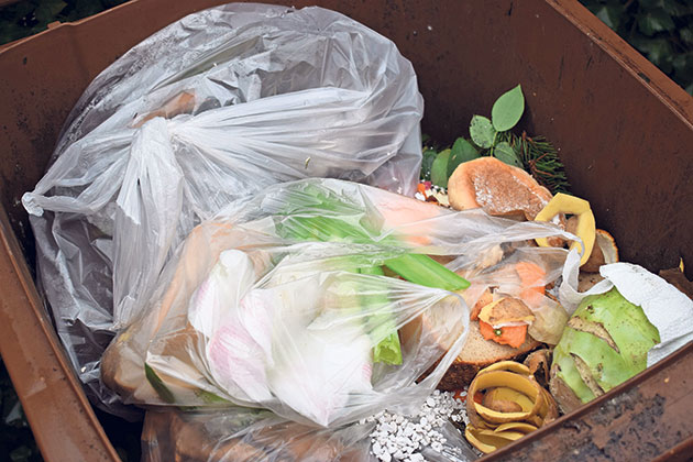 Biotonne mit Lebensmittel- und Gartenabfällen