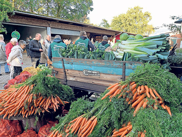 Marktstand mit Karotten, Lauch und Menschen im Gespräch.