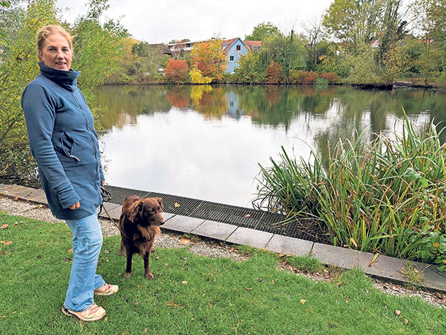 Spaziergang am Seeufer an einem Herbsttag. Frau mit Hund spaziert am See im Herbst.