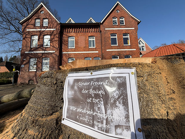 Gefällter Baumstamm vor Backsteingebäude mit Plakat.