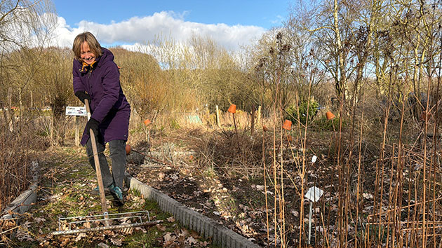 Frau im Garten harkt Laub an einem sonnigen Tag.