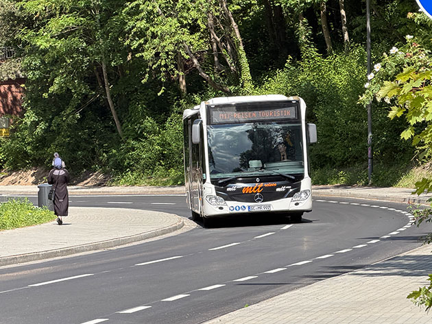 Ein Bus fährt auf einer Straße im Grünen.