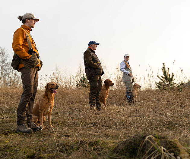 Drei Personen mit Hunden auf einem Feld