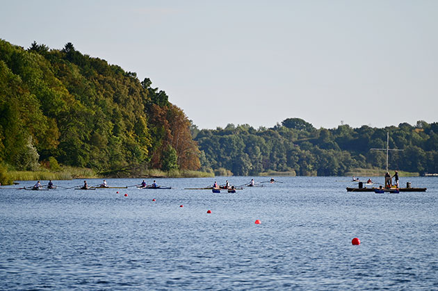 Ruderboote auf einem See mit grüner bewaldeter Uferlinie.