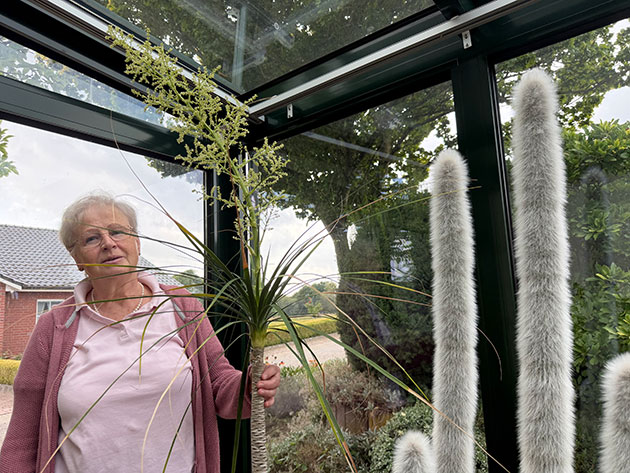 Ältere Frau hält eine Pflanze im Glashaus.