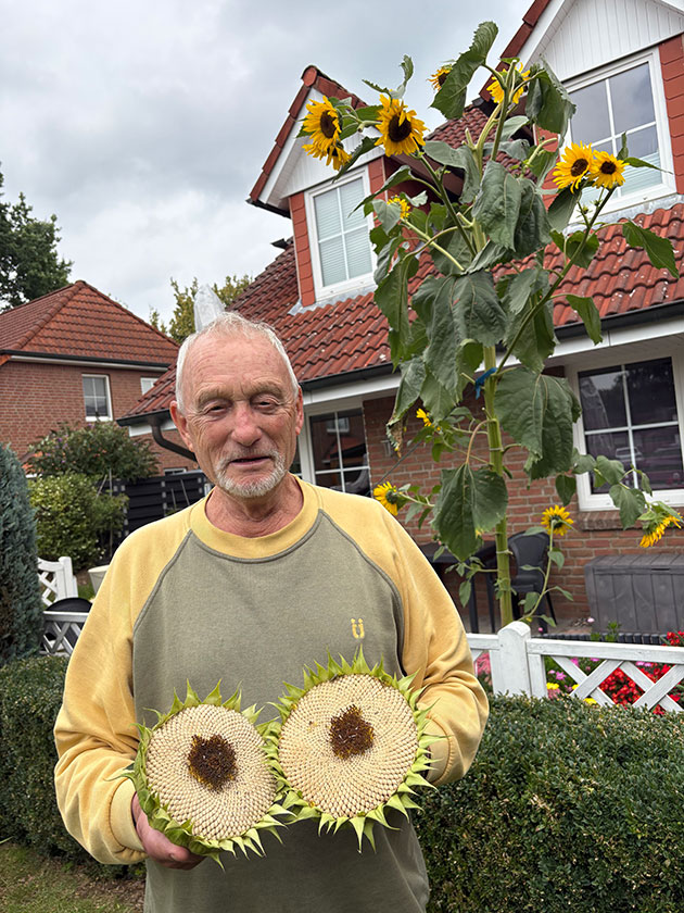 Mann hält Sonnenblumen im Garten.