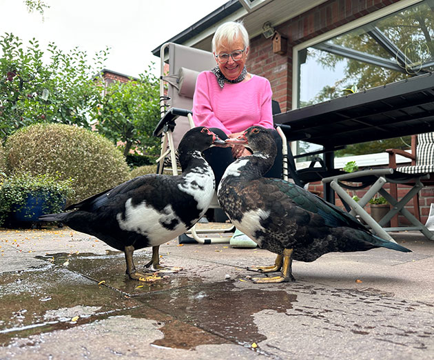 Frau füttert zwei Enten im Garten.